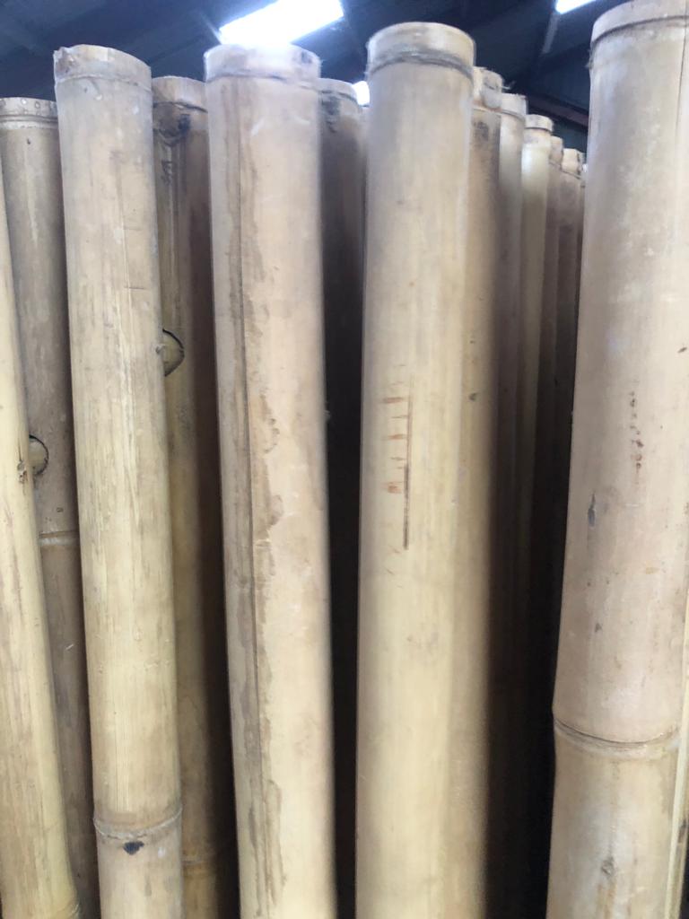 Outlet bamboe schuttingen - 180x180 cm - Naturel