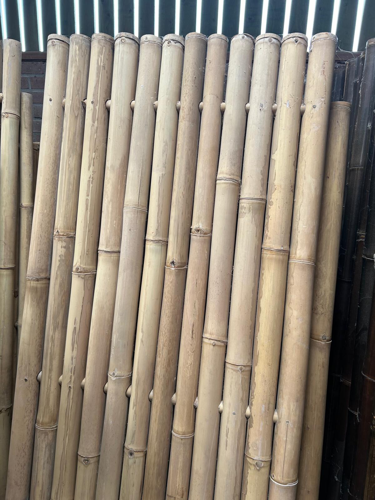 Outlet bamboe schuttingen - 90x220 cm - Naturel