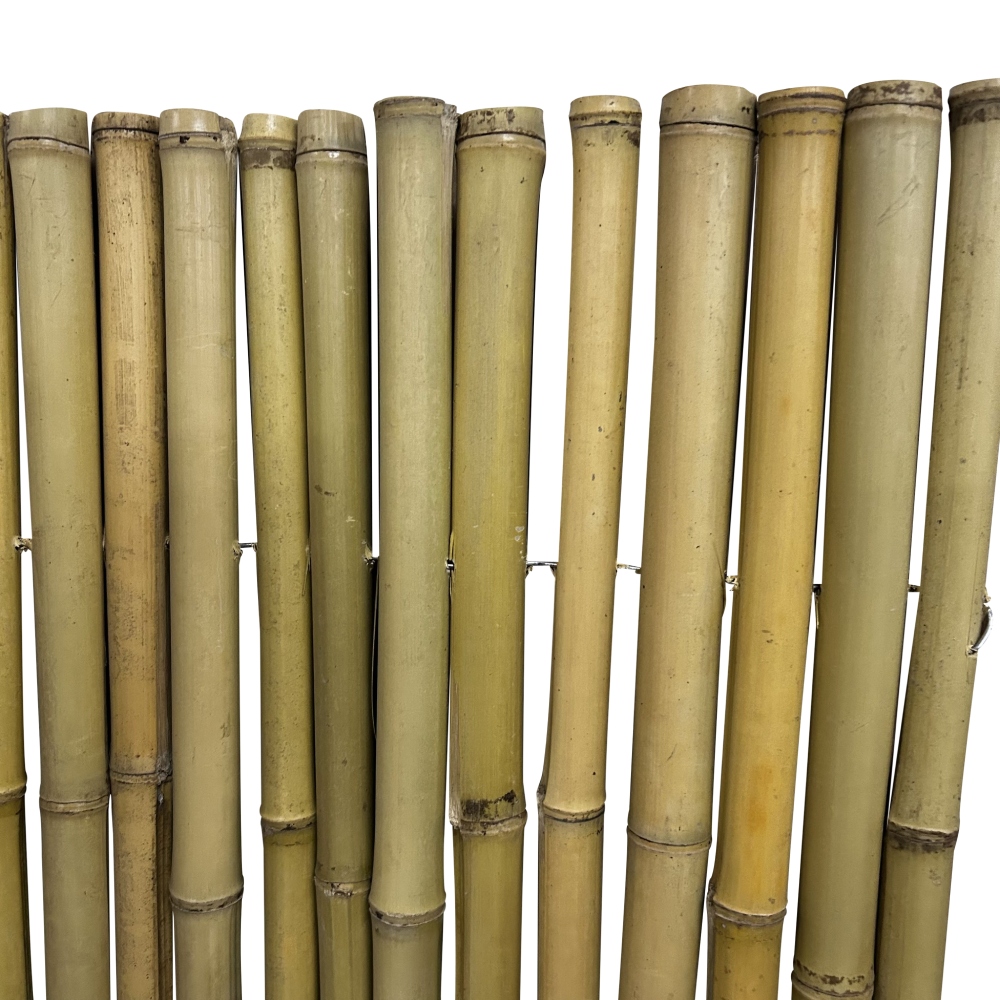 Bamboemat Moso - 250 x 200 cm - Naturel - Eviro Bamboe