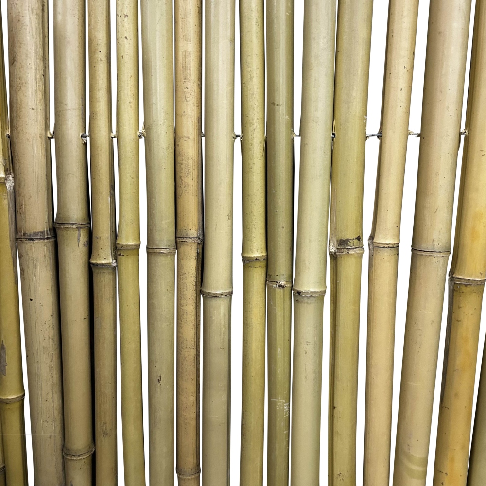 Bamboemat Moso - 250 x 200 cm - Naturel - Eviro Bamboe