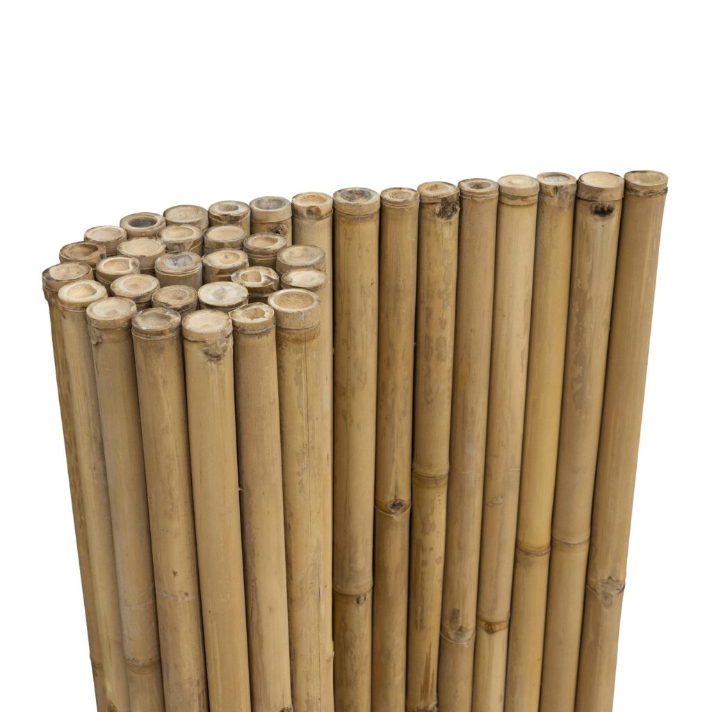 Bamboemat Giant - 180 x 100 cm - Naturel - Eviro Bamboe