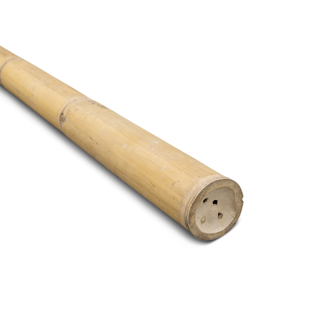 Bamboepaal Giganteus - Ø11-14 x 400 cm - Naturel - Eviro Bamboe