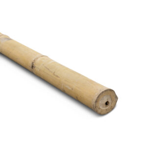 Bamboepaal Giganteus - Ø9-11 x 400 cm - Naturel - Eviro Bamboe