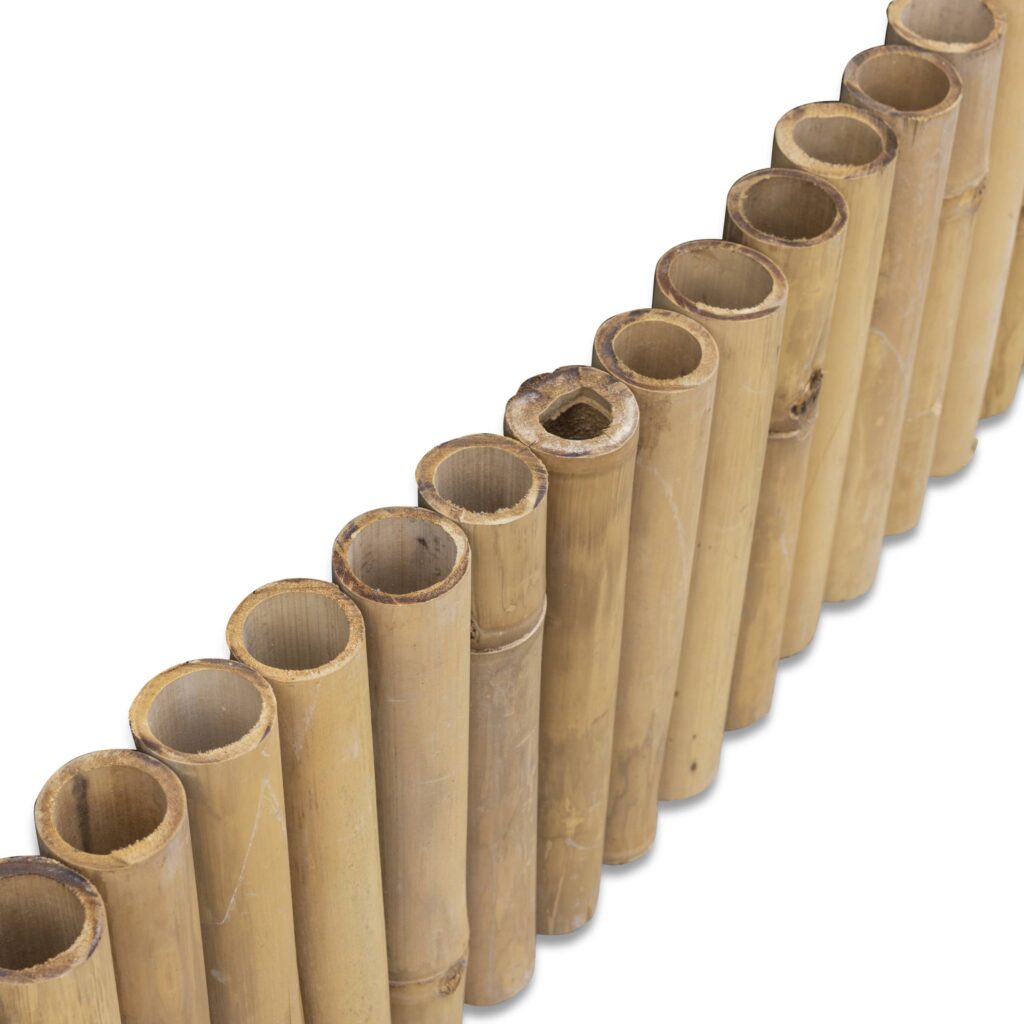 Bamboe borderrand Giant - 180 x 30 cm - Naturel - Eviro Bamboe
