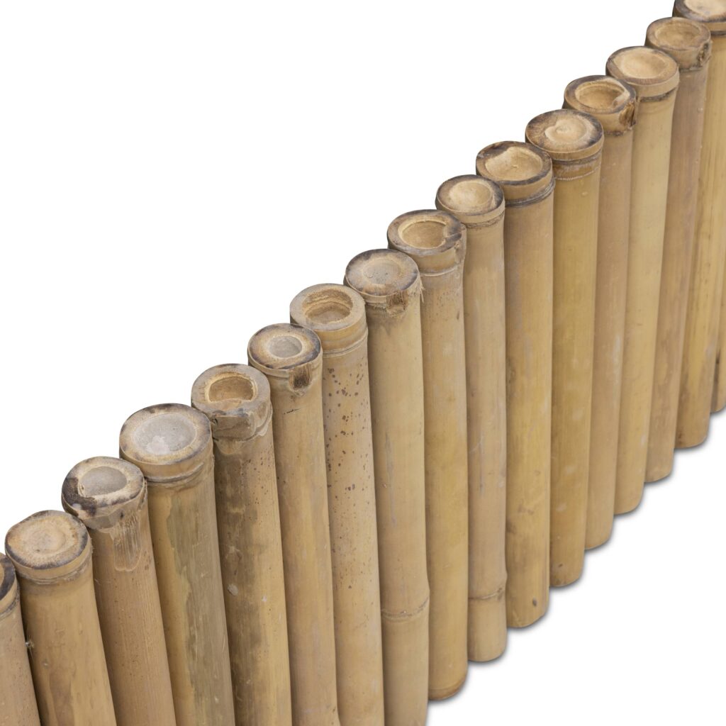 Bamboe borderrand Giant - 180 x 45 cm - Naturel - Eviro Bamboe